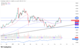 NFP and Fed Signals Set Up a High-Stakes Week for XAU/USD – Rehana William |Financial Consultant _Forex_Gold Xauusd| Fund Manager