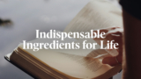 Infusing God’s Word into Your Day | Revive Our Hearts Episode