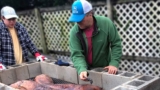 James Roller | Author & Co-Founder of Destination BBQ