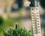 Some Like It Hot! Cal/OSHA Revises Its Heat Illness Proposal