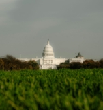 Congressional Update: COWS Act Reintroduced as Senate Farm Bill Talks Continue | CalCAN