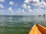 10 Sensational Things to Do on US Gulf Coast in June 2026 • McCool Travel