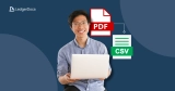 LedgerDocs vs DocuClipper: Best PDF to CSV converter for Bookkeepers