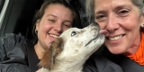 PETA Urgently Seeks Adopters, Fosters for 10 Dogs Rescued From Chains and Pens