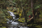 7 Best Things to Do in Port Angeles WA » Local Adventurer » Travel Adventures in Las Vegas + World Wide