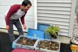 Maine’s Cambodian Community Is Keeping Invasive Crabs at Bay