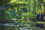 In France, Brutal Summer Heat Waves Are Taking a Toll on the Flowers That Inspired Claude Monet’s Most Beloved Paintings
