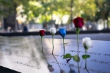 AMC Remembers 9/11 Twenty-Five Years Later – The Animal Medical Center
