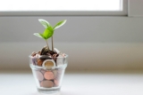 8 Small Money Moves That Can Make a Big Difference in Your Finances