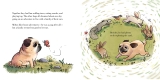 Author Jonathan Graziano on Noodle, TikTok, and Picture Books- plus a GIVEAWAY! « Lydia Lukidis