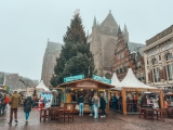 22 X mooiste kerstmarkten in Nederland in 2026