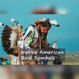 The Wisdom Of Native American Bird Symbols Explored