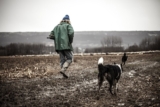 How Owning Dogs Can Make You Happier – BarkBlaster