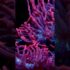 Friday (telco diary) | Verizon looks to AI horizon