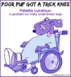 Signs, Grades, Treatment, and Care