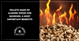 Almond Wood for Smoking: 6 Key Benefits Explained