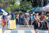 A Day at the Market