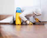 Professional Spider Pest Control Singapore