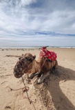 Morocco, my crazy, scary 8-day adventure