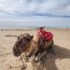 How CBD Can Help Reduce Stress During Travel