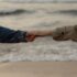 Kaua’i Region by Region: Best Beaches, Resorts & Adventures