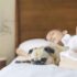 carpet cleaning with pet treatment