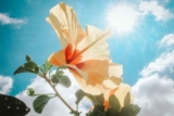Through God’s Eyes – Successful Mom