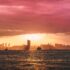 Empire Life Blog 2026 Semi-Annual Market Outlook: U.S. equities