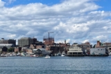 Portland Discovery – Harbour Lights & Sights Cruise Review