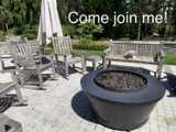October Dog Meetups – San Francisco Dog Trainer The Pooch Coach