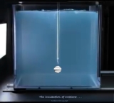The Incubation of Ambient