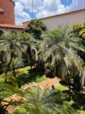 My Internship Experience in Brazil