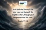 God’s Foot Prints | by Marilyn Ehle