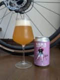 Bay Brewing Sara | BeerTengoku