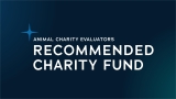 Recommended Charity Fund Update: August 2026