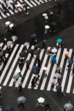 Things to Do in Tokyo: 20 Tips for the Ultimate Tokyo Experience!