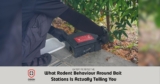 What Rodent Behaviour Around Bait Stations Is Actually Telling You