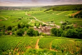 Burgundy’s Quiet Shift: From Extraction to Infusion