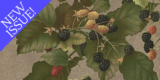 Foraging – Small Farmer’s Journal