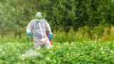 How States Can Protect Residents from Harmful Pesticides