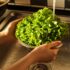 Blueberry Pineapple Fruit Salsa Recipe