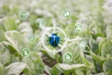 Climate Shifts & Pest Pressure on Businesses