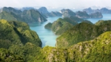 Why You Should Visit Cat Ba Island, Vietnam