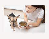 Get A Picky Dog To Eat (Hint: Think FOMO)