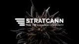 Cannabis Testing In Canada Is Giving Inaccurate Data According to Information Provided by One Canadian Cannabis Lab