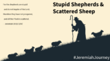 Stupid Shepherds & Scattered Sheep – Rev Bruce’s Blog