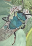 The Buzz on Wild Bees – Lisa Connors