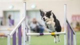 Do you really need more training?