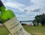 2019 Domaine du Grand Ormeau