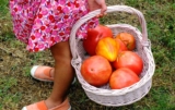 Trump’s Cuts Kill an LA Youth Garden